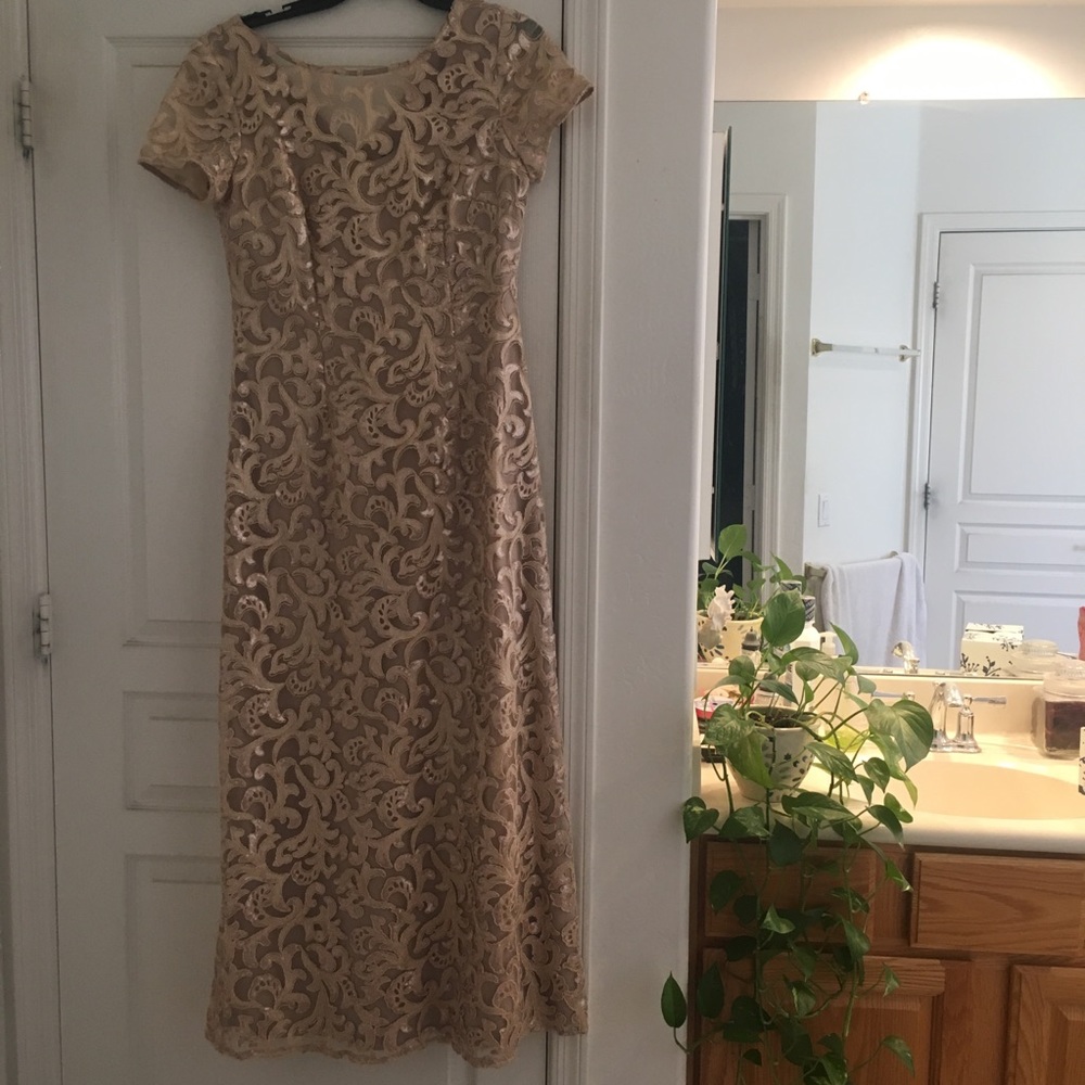 Alex Evening Dress with sequin embroidery detail.